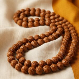 5 Mukhi Rudraksha