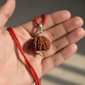 10 Mukhi Rudraksha
